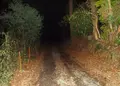 八王子城跡の写真_22847