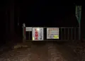 八王子城跡の写真_22858