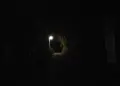 道了堂跡の写真_22868