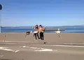 さくらじま白浜温泉センターの写真_22986