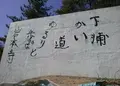 伏越港 フェリー乗り場の写真_24024