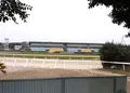 笠松競馬場の写真_24148