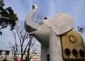 大乗教の写真_24975