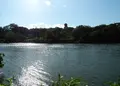 聚楽園公園の写真_24978