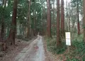 千葉県立船橋県民の森の写真_25608