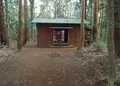 千葉県立船橋県民の森の写真_25611