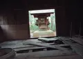 千葉県立船橋県民の森の写真_25612