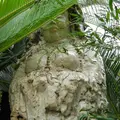 極楽寺の写真_26530