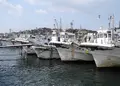 篠島高速船乗り場の写真_26583