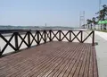 西之端の岬にはの写真_26607