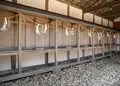 日間賀神社の写真_26625