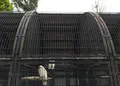 大宮公園の写真_26986