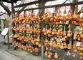 墨俣一夜城（歴史資料館）の写真_27070