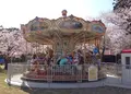 天橋立ビューランドの写真_27497