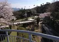 天橋立ビューランドの写真_27505