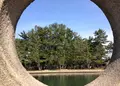 智恵の輪の写真_27515