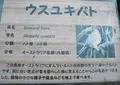 高鼻町４丁目の写真_27588