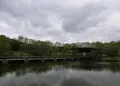 日本庭園 万博公園の写真_28279