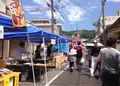 熊野大花火の写真_28316