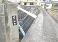 納の写真_29053