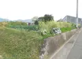 納の写真_29055