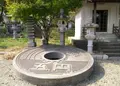 太陽公園　の写真_29711