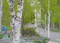清里駅周辺の写真_29963