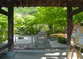 東光寺の写真_30034