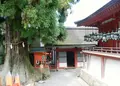 春日大社の写真_30227