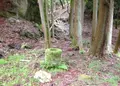 銀閣寺道（バス）の写真_30279