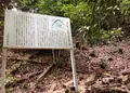 銀閣寺道（バス）の写真_30284