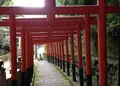 大本山 狸谷山不動院の写真_30442