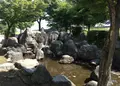 久世ニューリバー公園の写真_32104