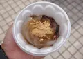 堂ケ島天窓洞の写真_33359