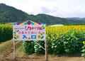 南光スポーツ公園（若あゆランド）の写真_34550