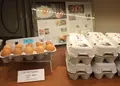 大江ノ郷自然牧場 ココガーデンの写真_34941