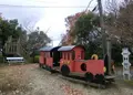 玉手山公園 ふれあいパークの写真_35448