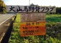 大山馬野背クラブの写真_35474