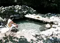 養老牛温泉の写真_36288