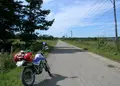 中標津町緑ヶ丘森林公園 キャンプ場の写真_36374