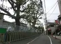 茨田堤の写真_38046