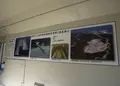 岬町海釣り公園　とっとパーク小島の写真_38067