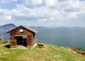 志々島の大楠の写真_38253
