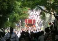 恩智神社の写真_38703