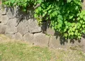 金沢城公園の写真_38988