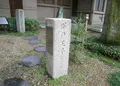 高津宮（高津神社）の写真_39028