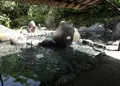 ならのさこ温泉の写真_41596