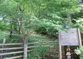 金剛山ロープウェイの写真_41849