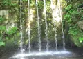 大岩山日石寺（大岩不動）の写真_43455