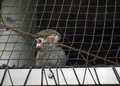 八木山動物公園フジサキの杜の写真_44040
